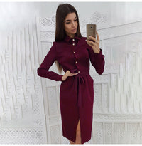 Spring Autumn New  Women Clothing Long Sleeve Solid Color Polo Collar Single-Breasted Lace up Belt Knee-Length Dress