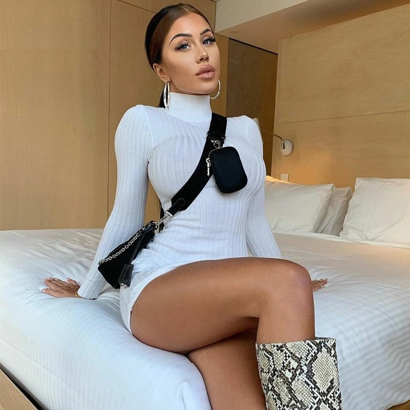 High neck long sleeve bodycon sexy mini dress