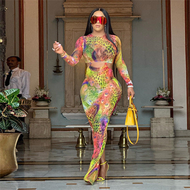 Summer Women Clothing Sexy Cutout Mesh 3D Printed Slim Dress